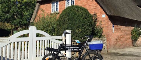 A bicycle parked in front of a thatched-roof house with a white fence.