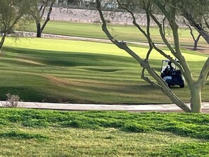 A golf course with a golf cart and trees. - Quiet Scottsdale location for Snowbirds - near golf, restaurants and more. (Scottsdale)