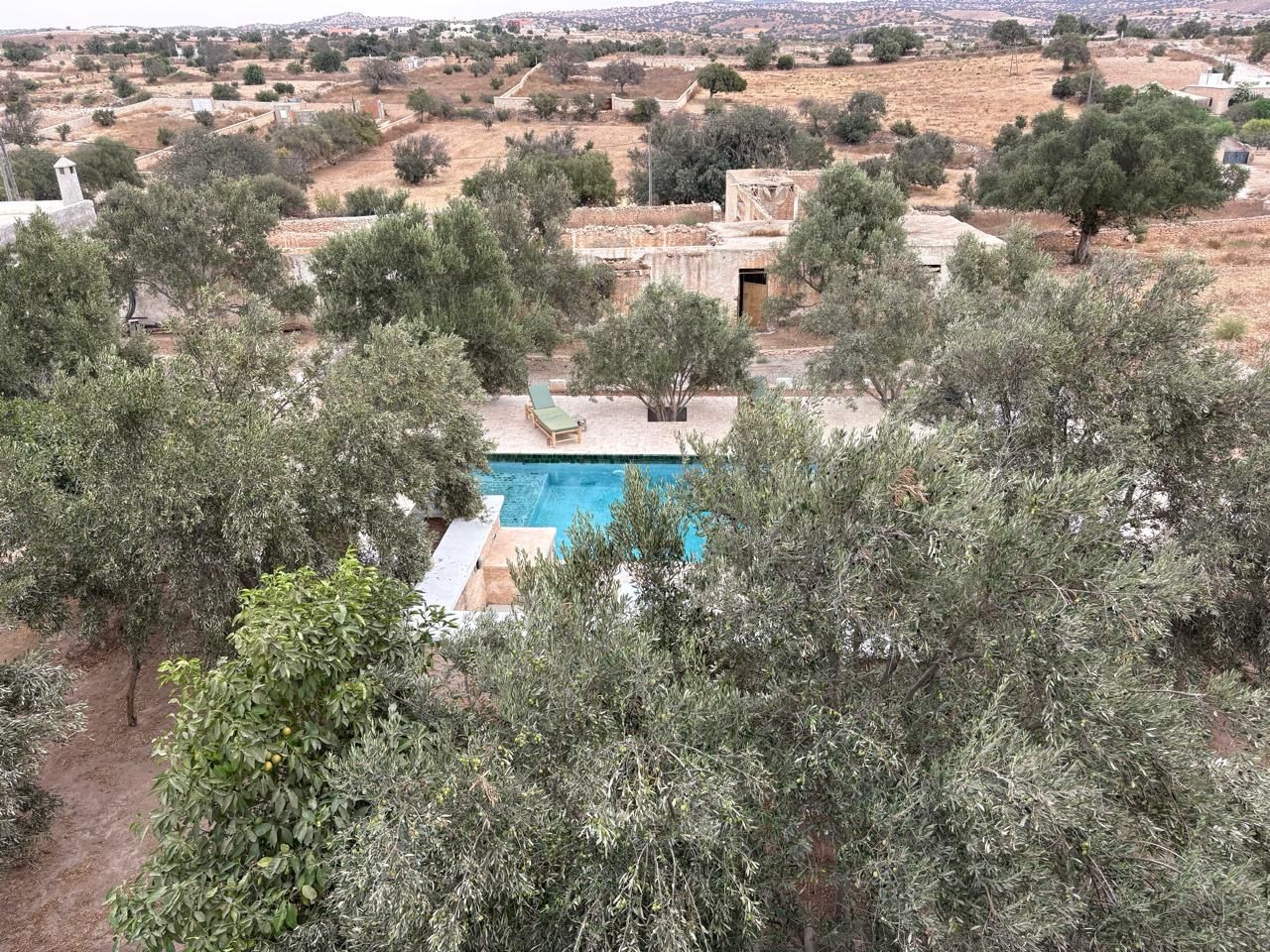 Ein Swimmingpool, umgeben von Olivenbäumen, mit Blick auf eine ländliche Landschaft im Hintergrund.
