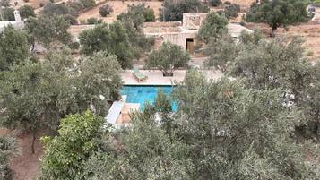 Ein Swimmingpool, umgeben von Olivenbäumen, mit Blick auf eine ländliche Landschaft im Hintergrund.