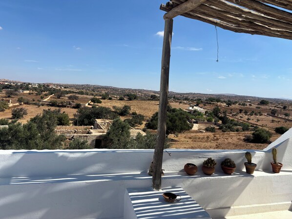 A terrace with a view of a rural landscape, potted cacti, and a wooden pergola.
