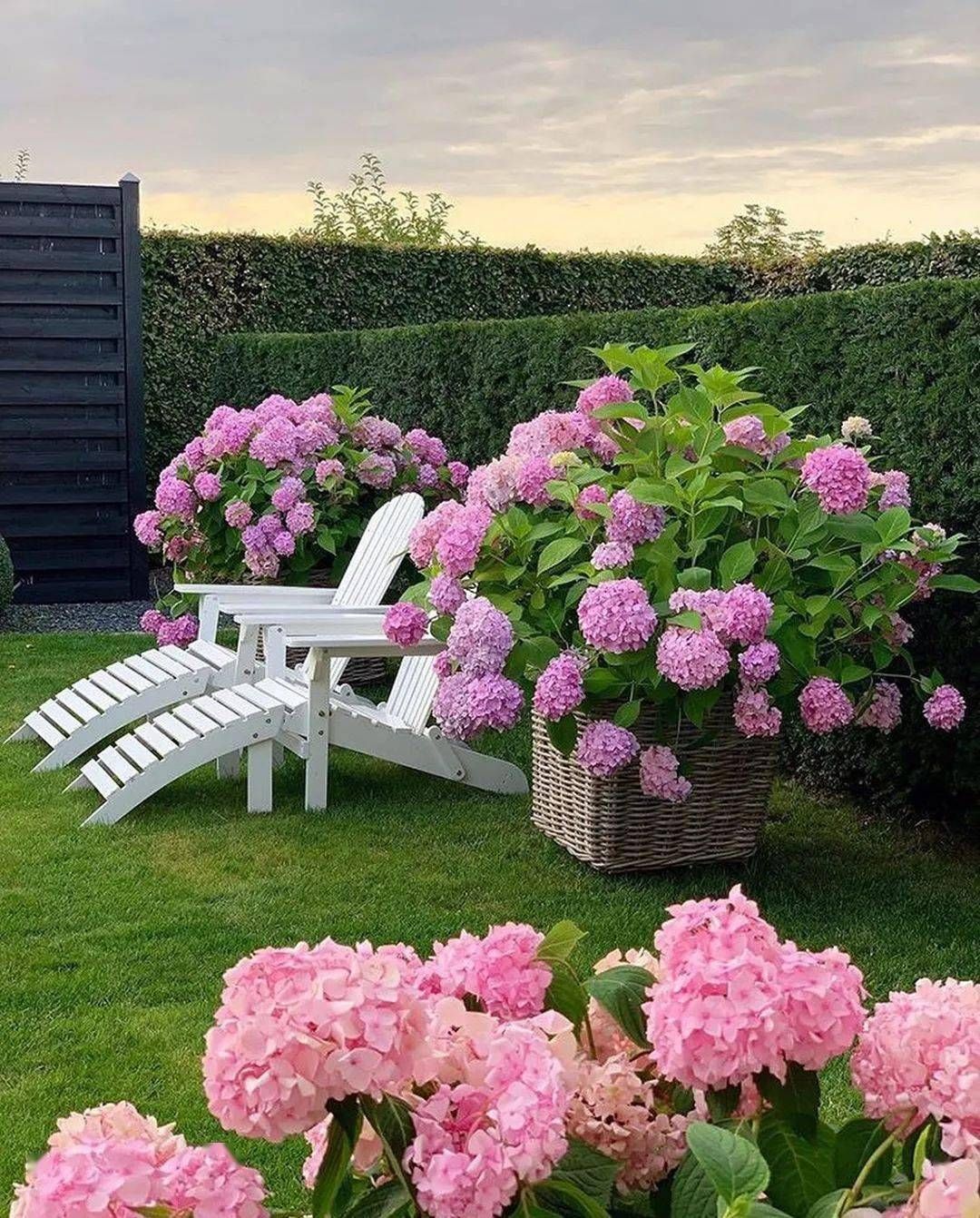 A garden with a white chair and a basket of pink flowers.