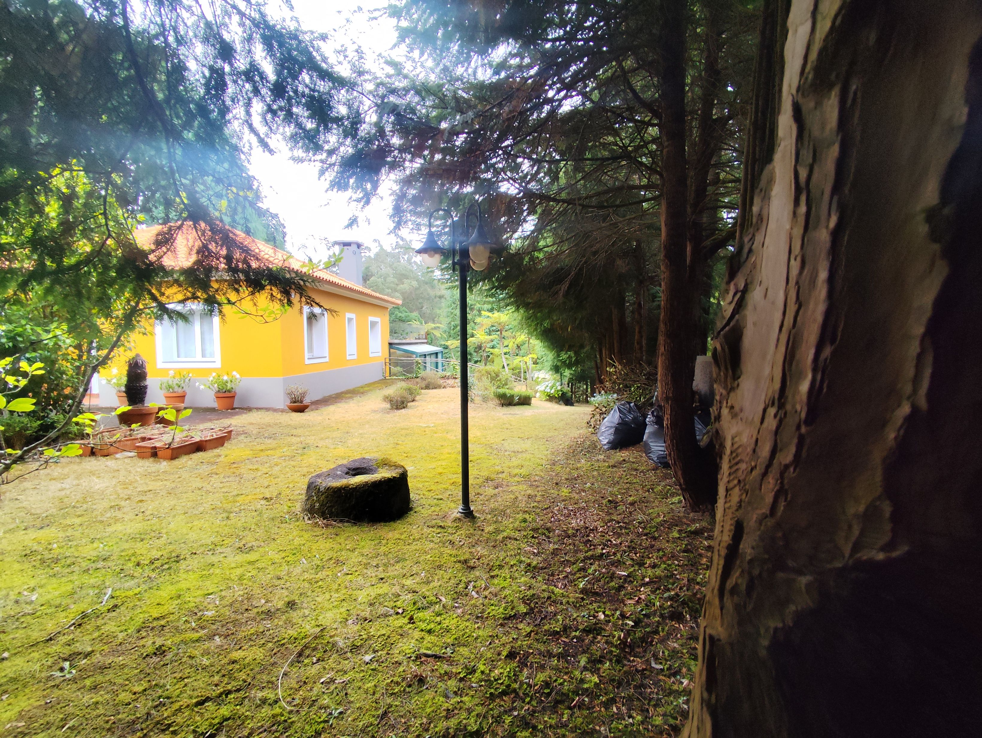 A yellow house with a red roof, surrounded by a grassy yard and trees.