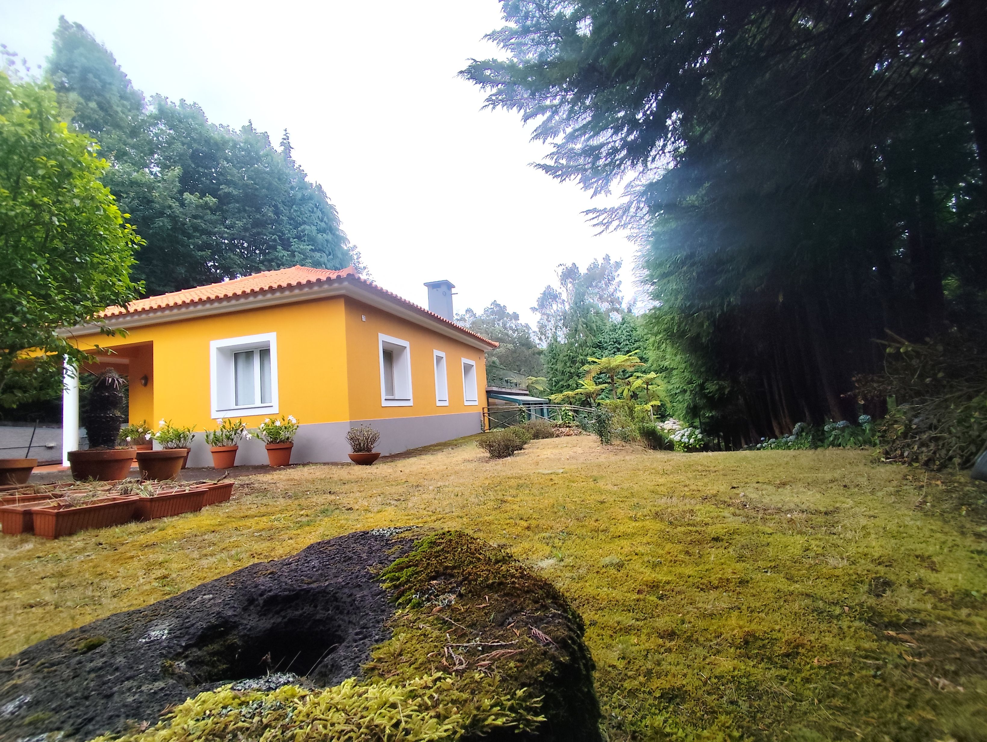 A yellow house with a red roof, surrounded by greenery and a grassy yard.