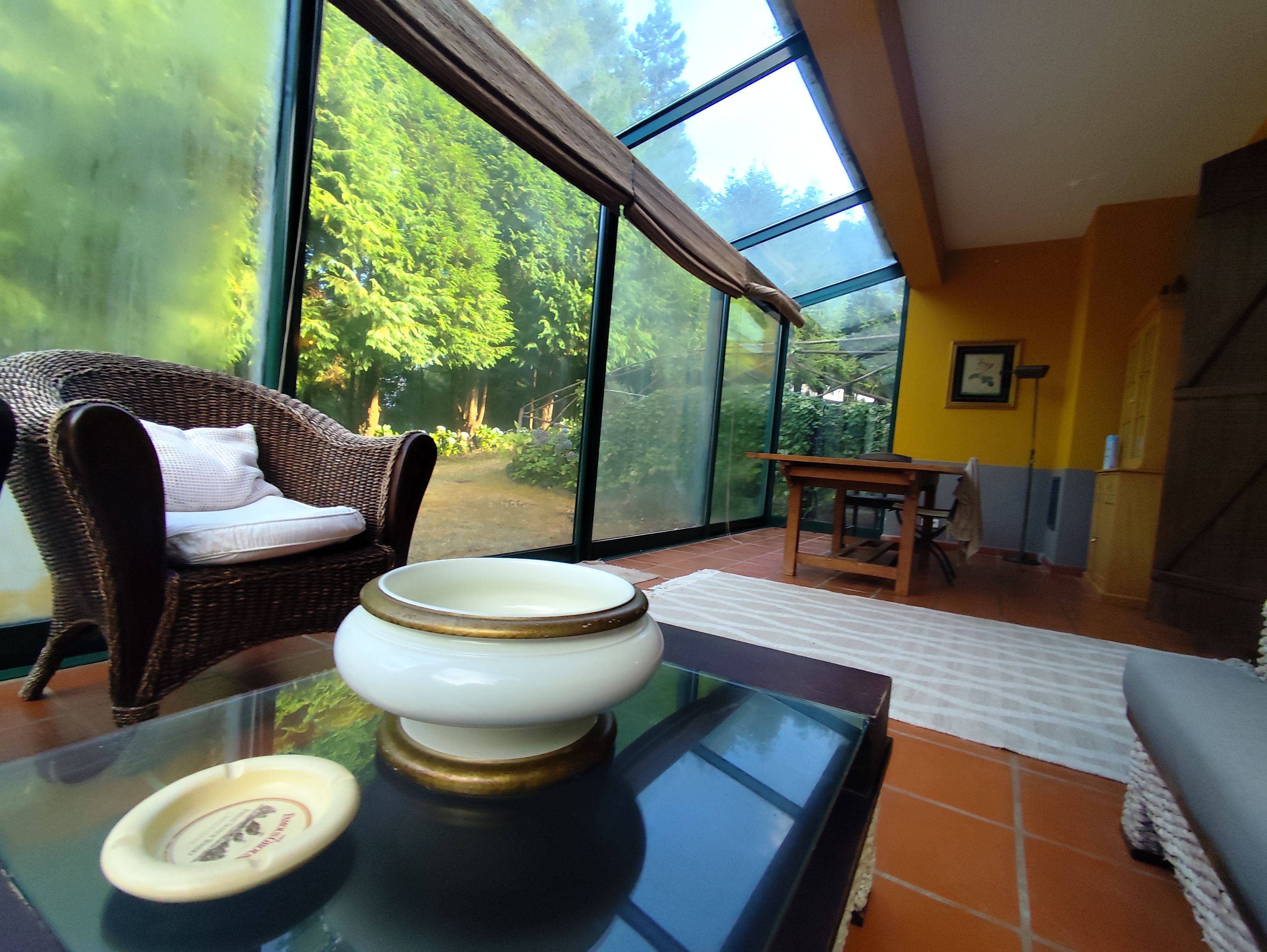 A room with a wicker chair, a glass table with a bowl, and a view of greenery through large windows.