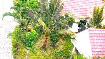 Un jardín con palmeras y un camino empedrado.
