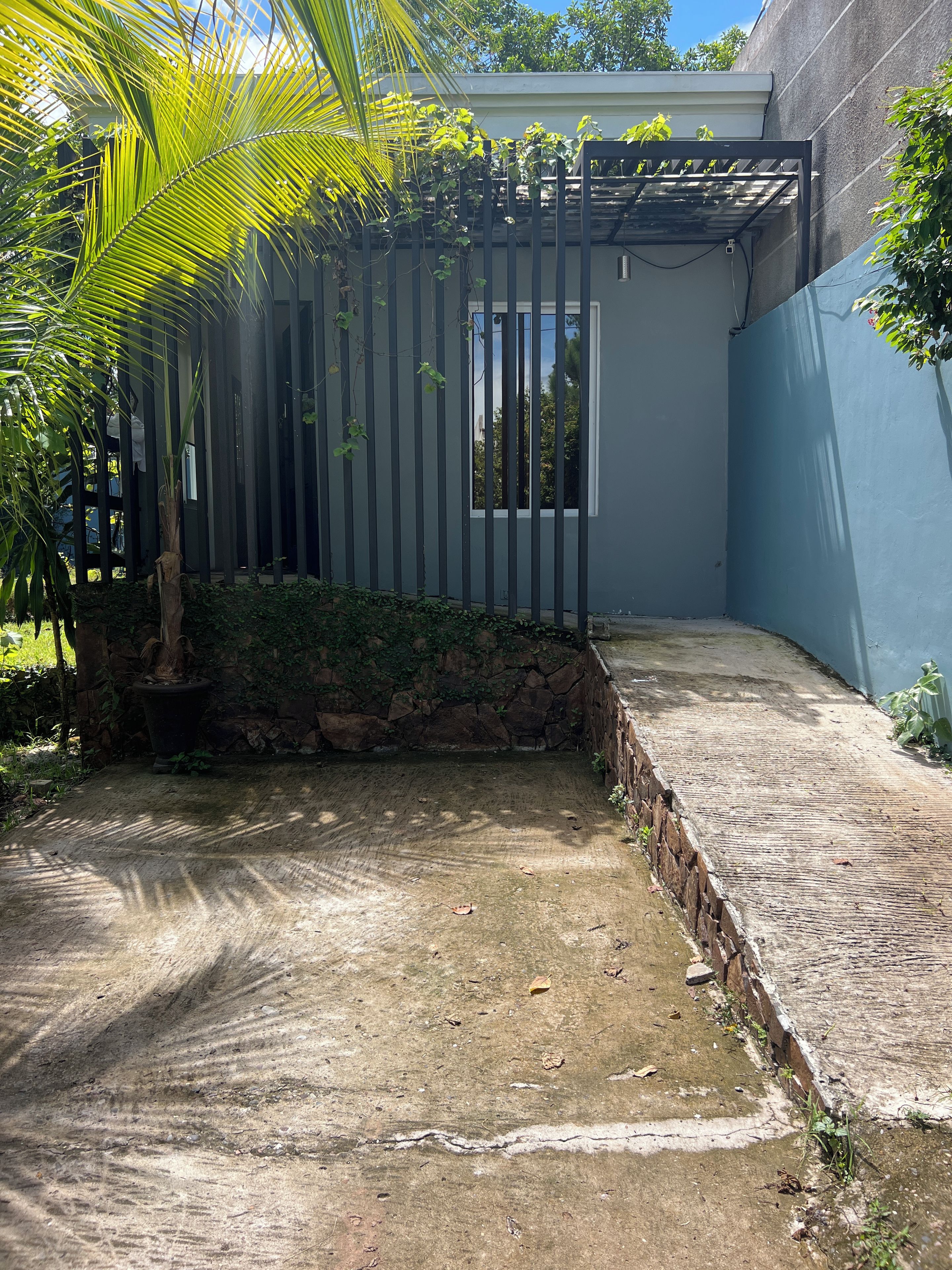 A fenced outdoor area with a stone wall, a concrete floor, and a palm tree.