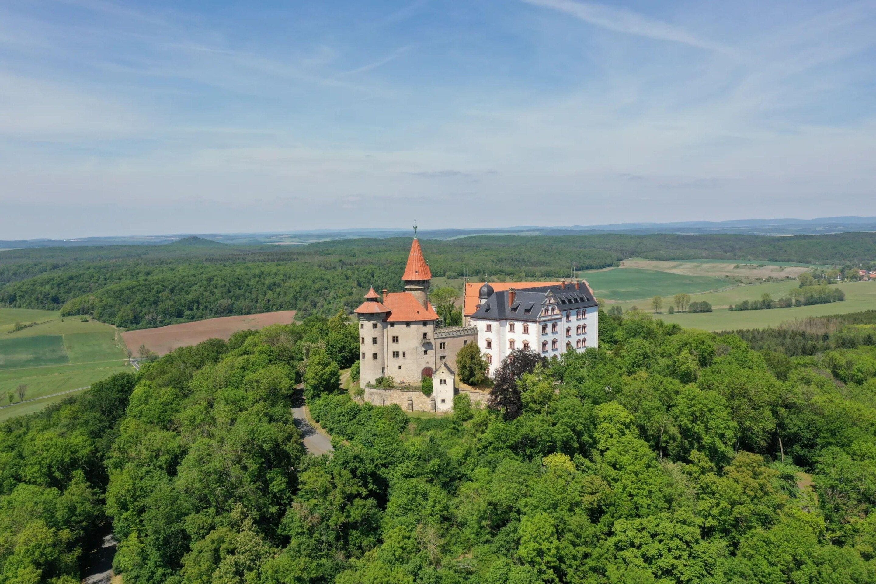 A castle with a red roof, surrounded by dense forest and fields.