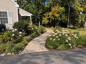 A paved pathway leading to a house with a covered porch, surrounded by lush greenery and flowering plants. - Shirley Mansion - Family Stay, 3BR/2.5BA One-Level, Office, Sunroom, Yard (Shirley)