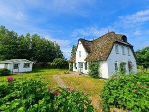 A white house with a thatched roof, surrounded by a well-maintained garden with flowering plants. - Deichhof Apt. 7 (Dunsum)