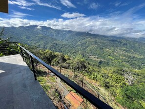 Une terrasse dotée d’une rambarde en métal, qui offre une vue sur un paysage montagneux.