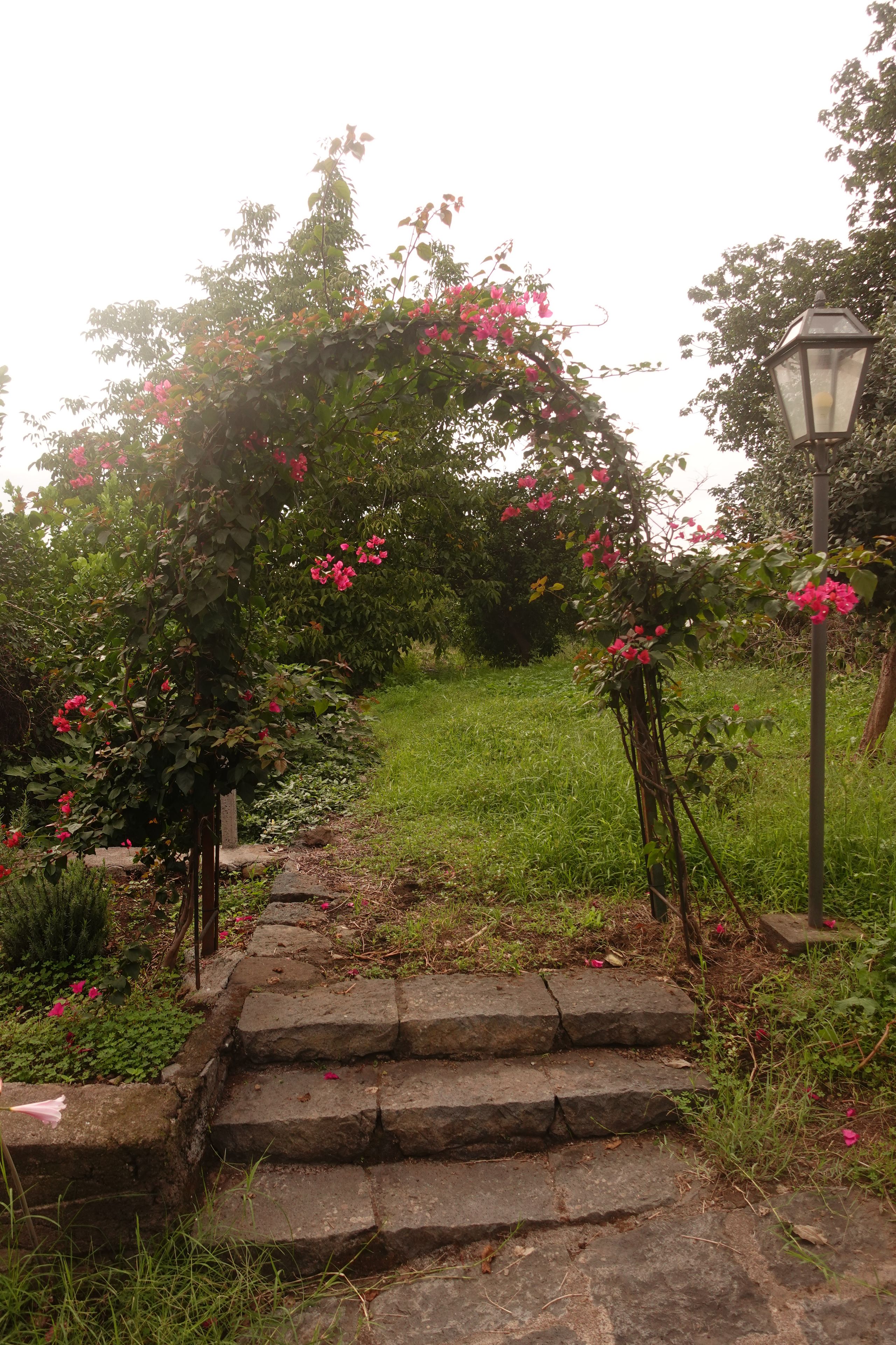 A stone pathway leading through a garden with a floral archway and a street lamp.