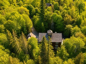 Una casa rodeada de un bosque frondoso, con un camino que lleva a la entrada.