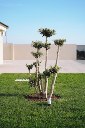 Een aangelegd gebied met een kleine boom, een wit voorwerp op het gras en een gebouw op de achtergrond.