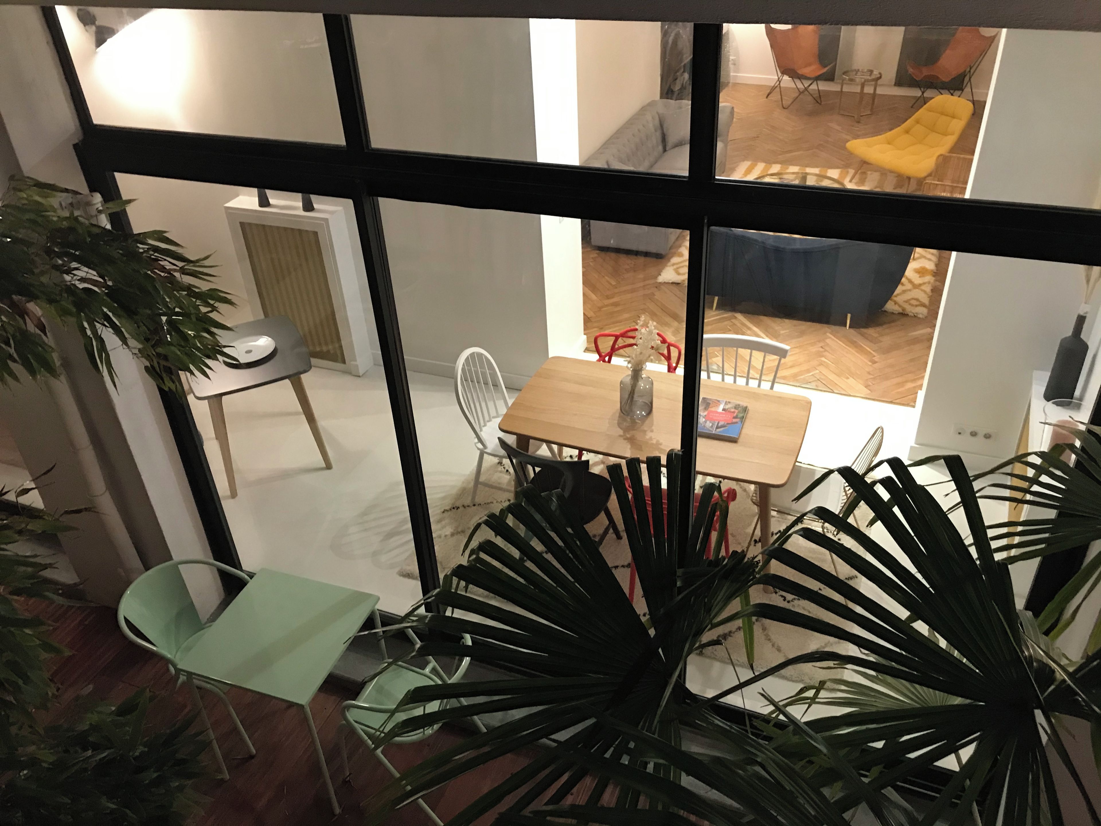 A room with a dining table, chairs, and a potted plant.