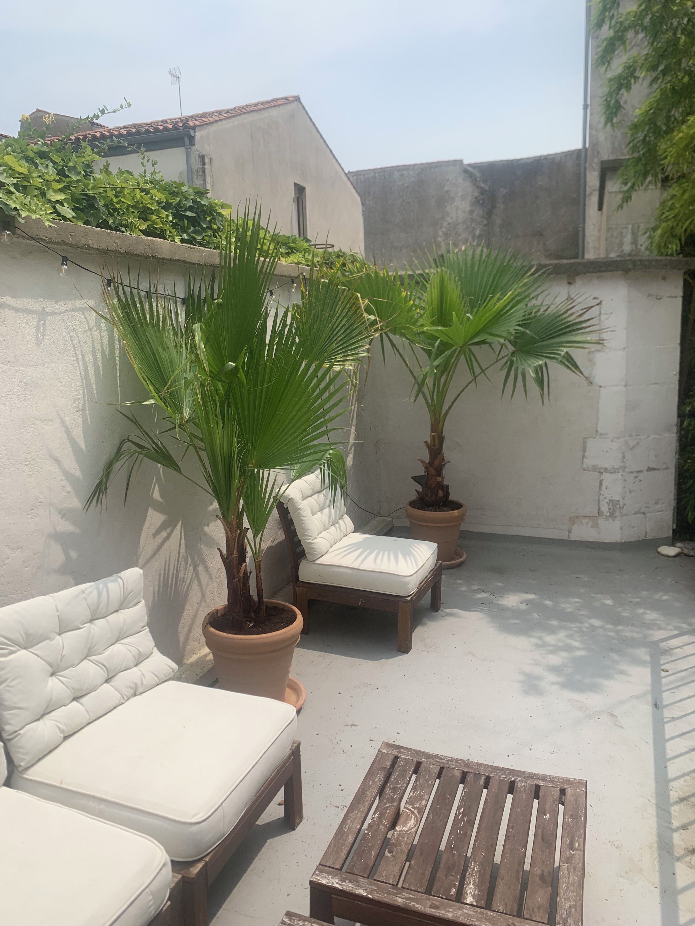 A patio with two white cushioned chairs, a wooden table, and two potted palm trees.