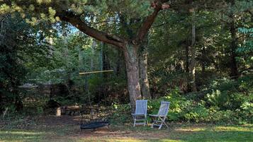 A large tree with a swing and two chairs in a grassy area.