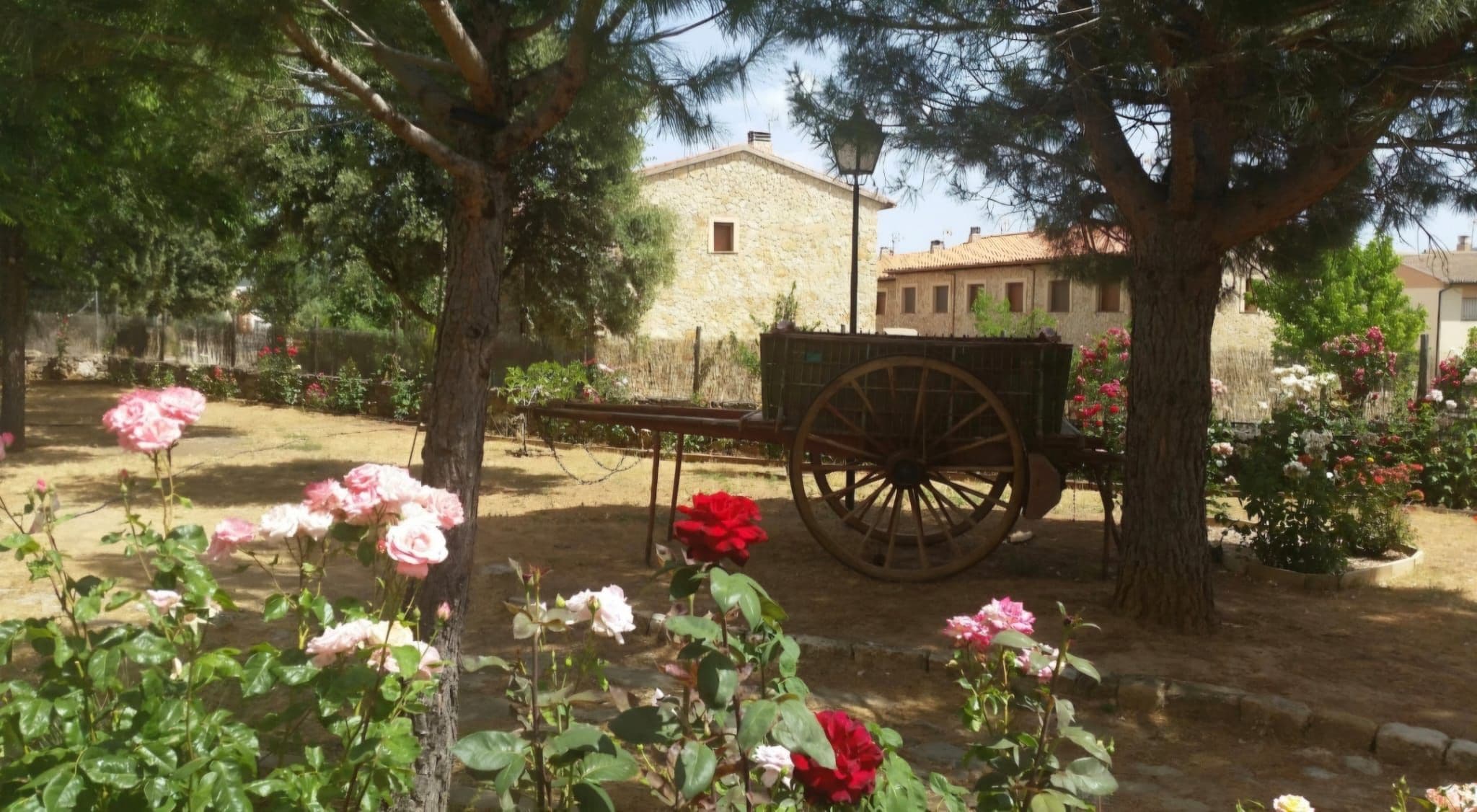 A rustic stone building with a cart in a garden with blooming roses.