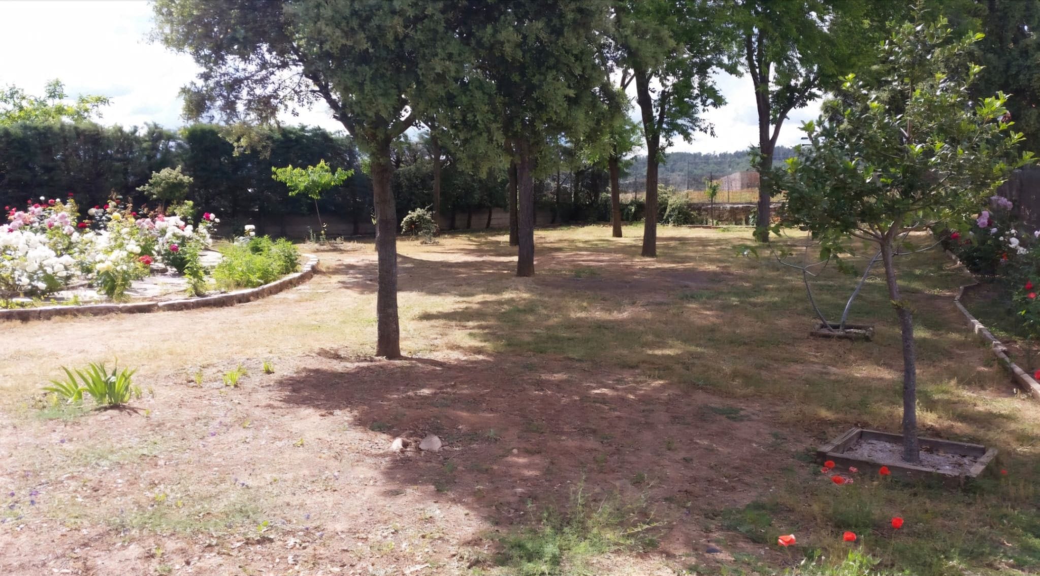 Jardines del alojamiento
