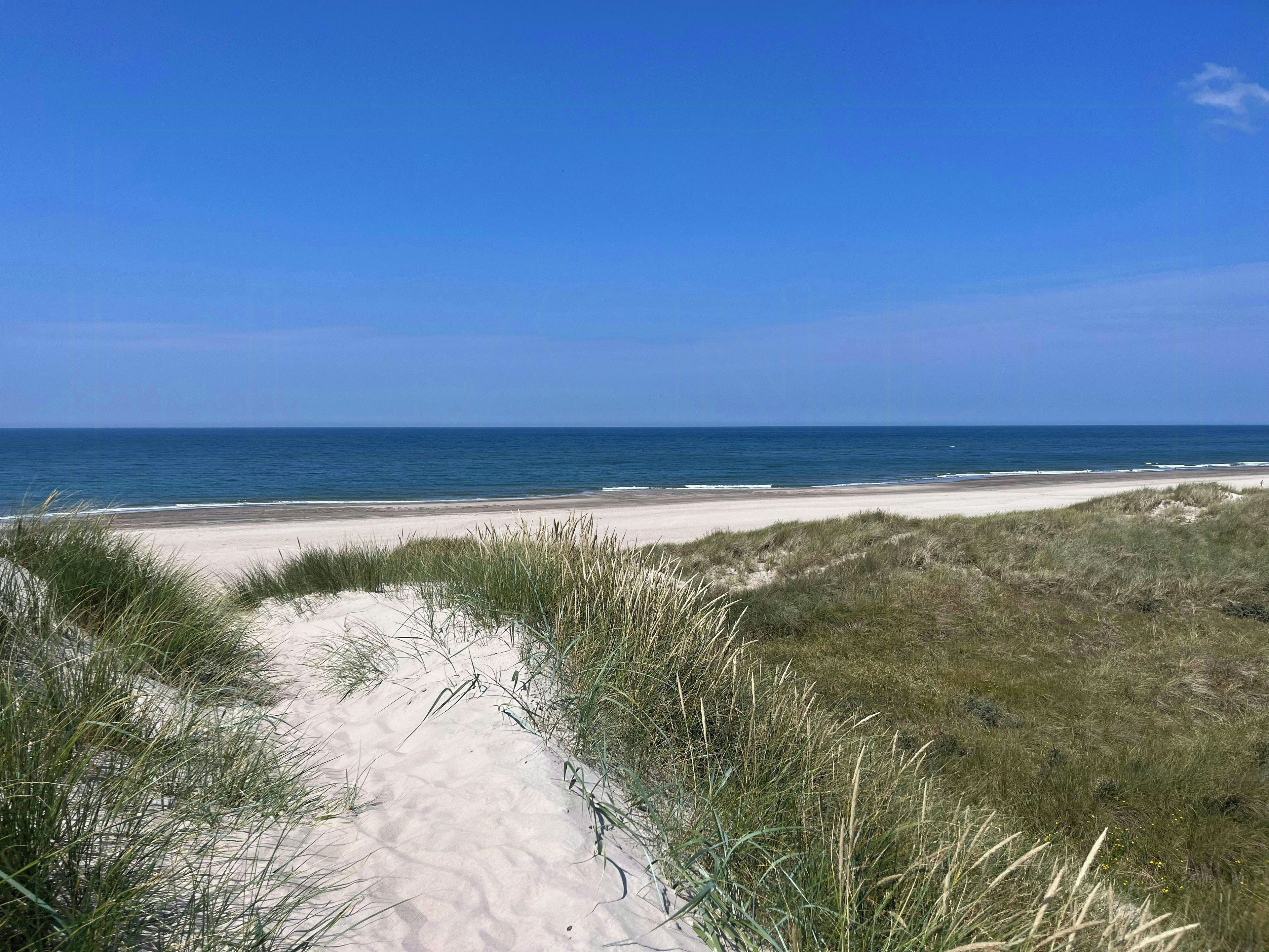 Un sendero bordeando la playa que lleva al océano, con dunas y hierba en primer plano.