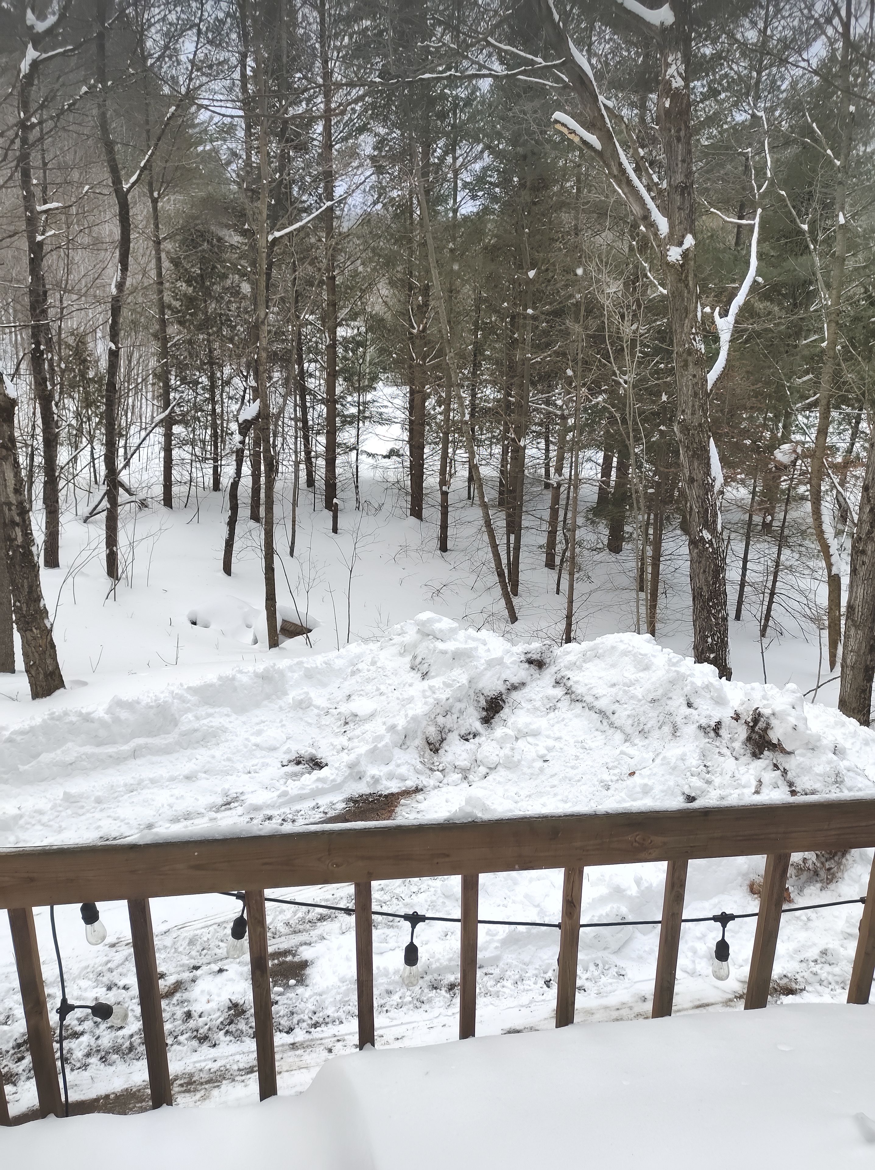 A snowy forest with a wooden deck and string lights.