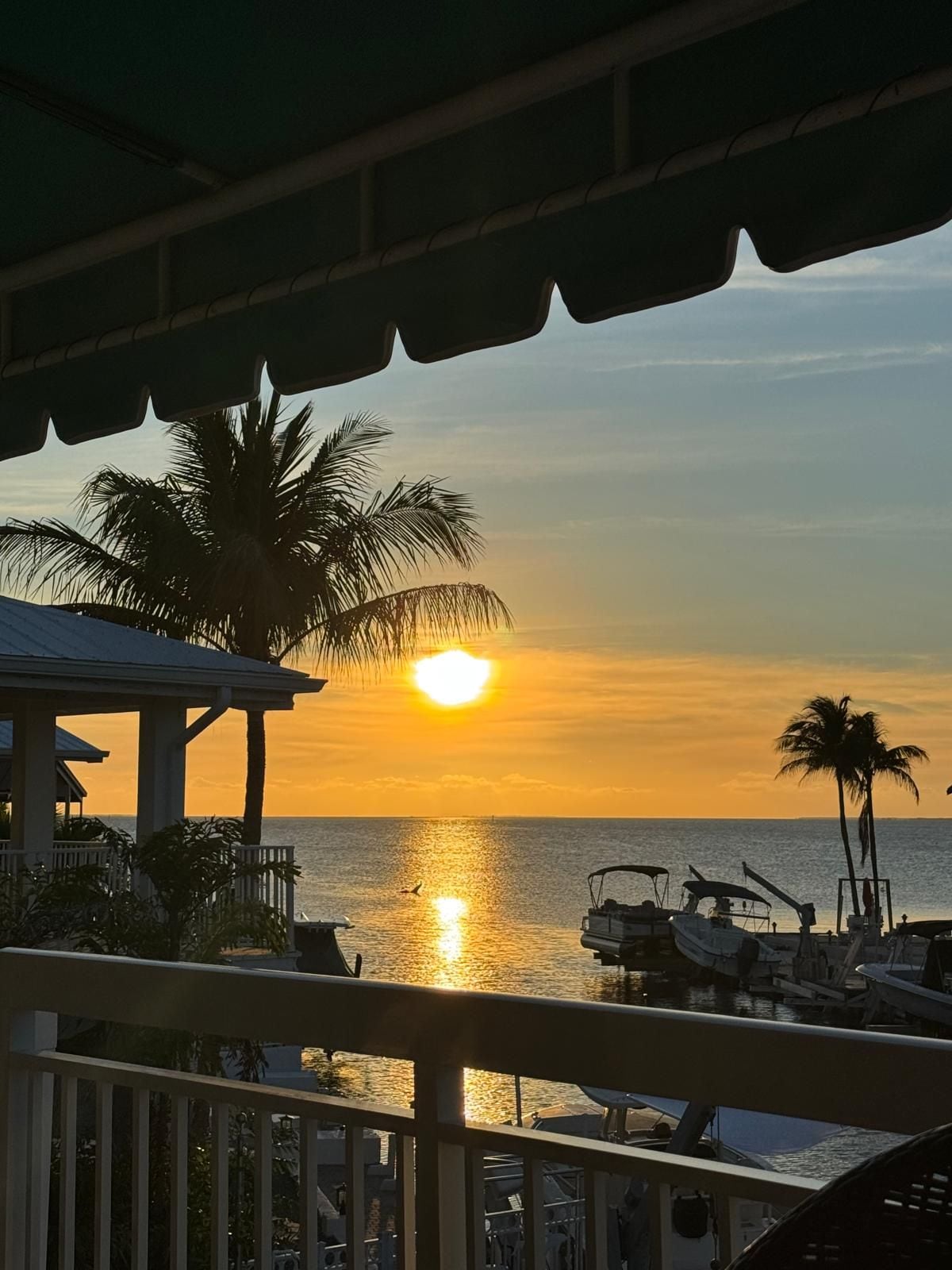 A sunset view from a balcony overlooking a marina with boats and palm trees.