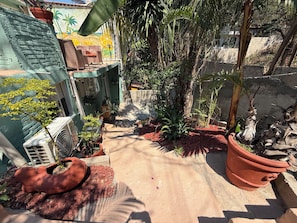 A narrow outdoor pathway flanked by potted plants and a brick wall. - Hidden Gem in the Zona. King Bed, Designer Reno. Private yet near It All (Puerto Vallarta)