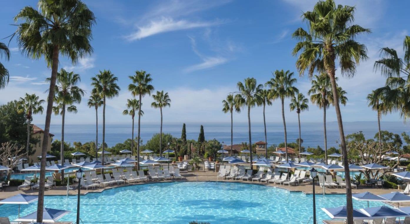Ein Poolbereich mit Liegestühlen und Sonnenschirmen, umgeben von Palmen, mit Blick auf das Meer.
