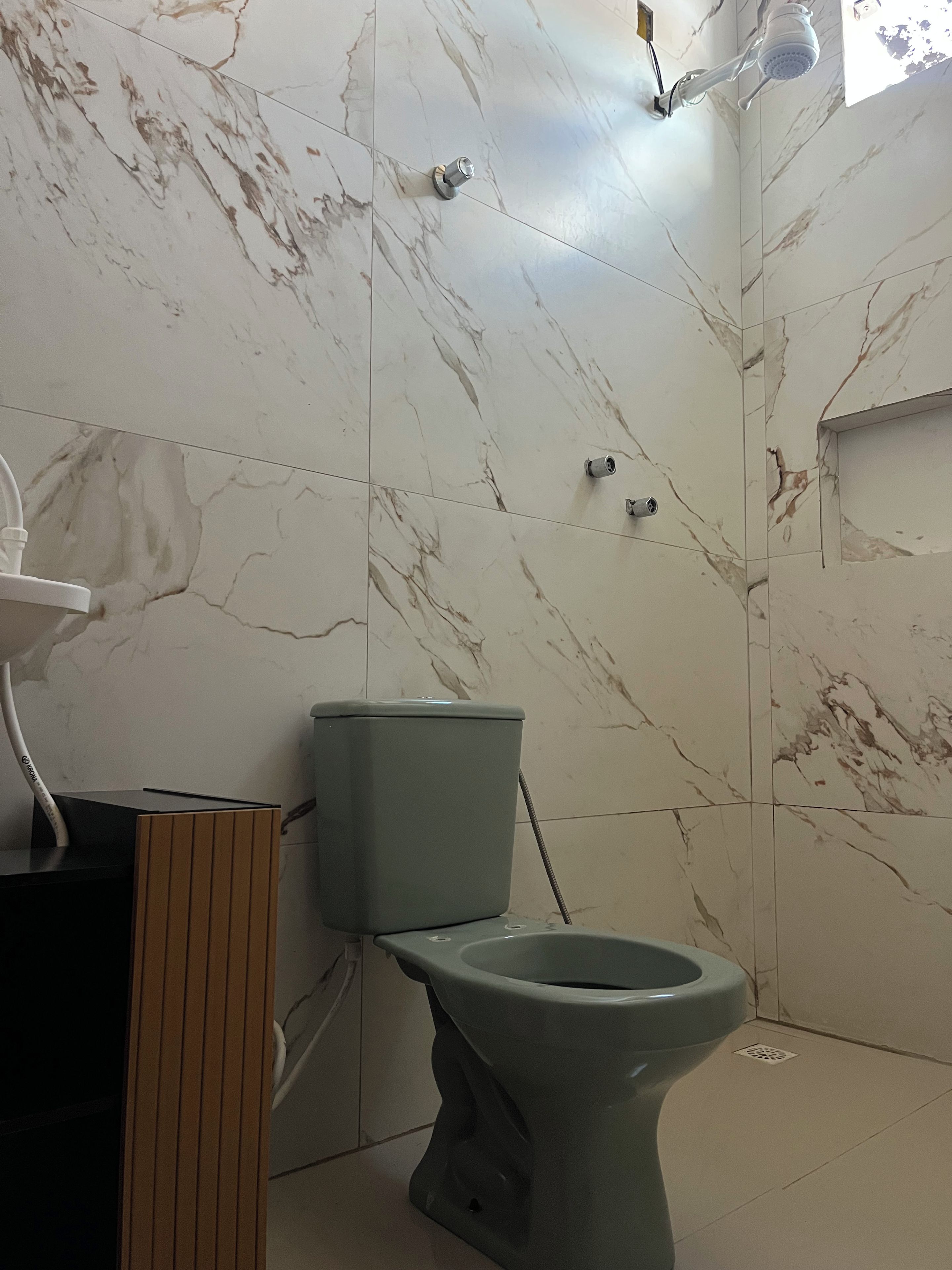 Een badkamer met toilet, wastafel en douchekop aan de muur.