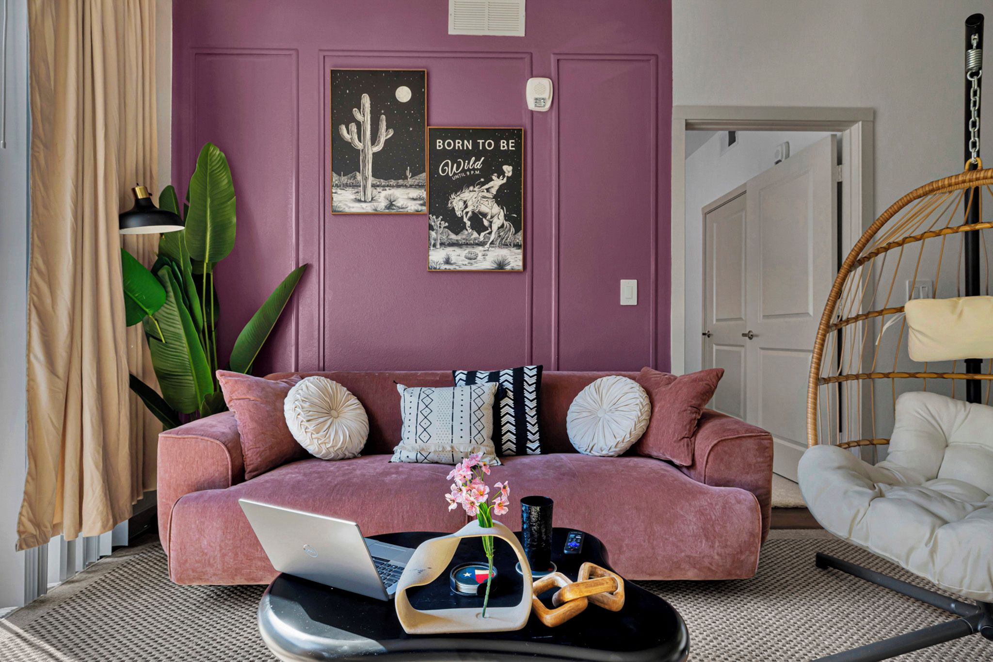 A living room with a purple wall, a sofa, a laptop, and a hanging chair.