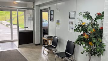 A reception area with a waiting area, a reception desk, and a wall-mounted plant.