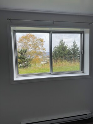 Una ventana con vista a un campo cubierto de hierba y árboles.