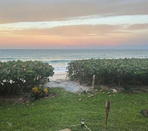 A coastal pathway leading to the sea, surrounded by greenery. - Turtle Beach Paradise - Direct Ocean Front Villa (Melbourne Beach)