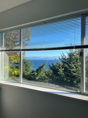 Una ventana con vistas a un bosque y al océano.