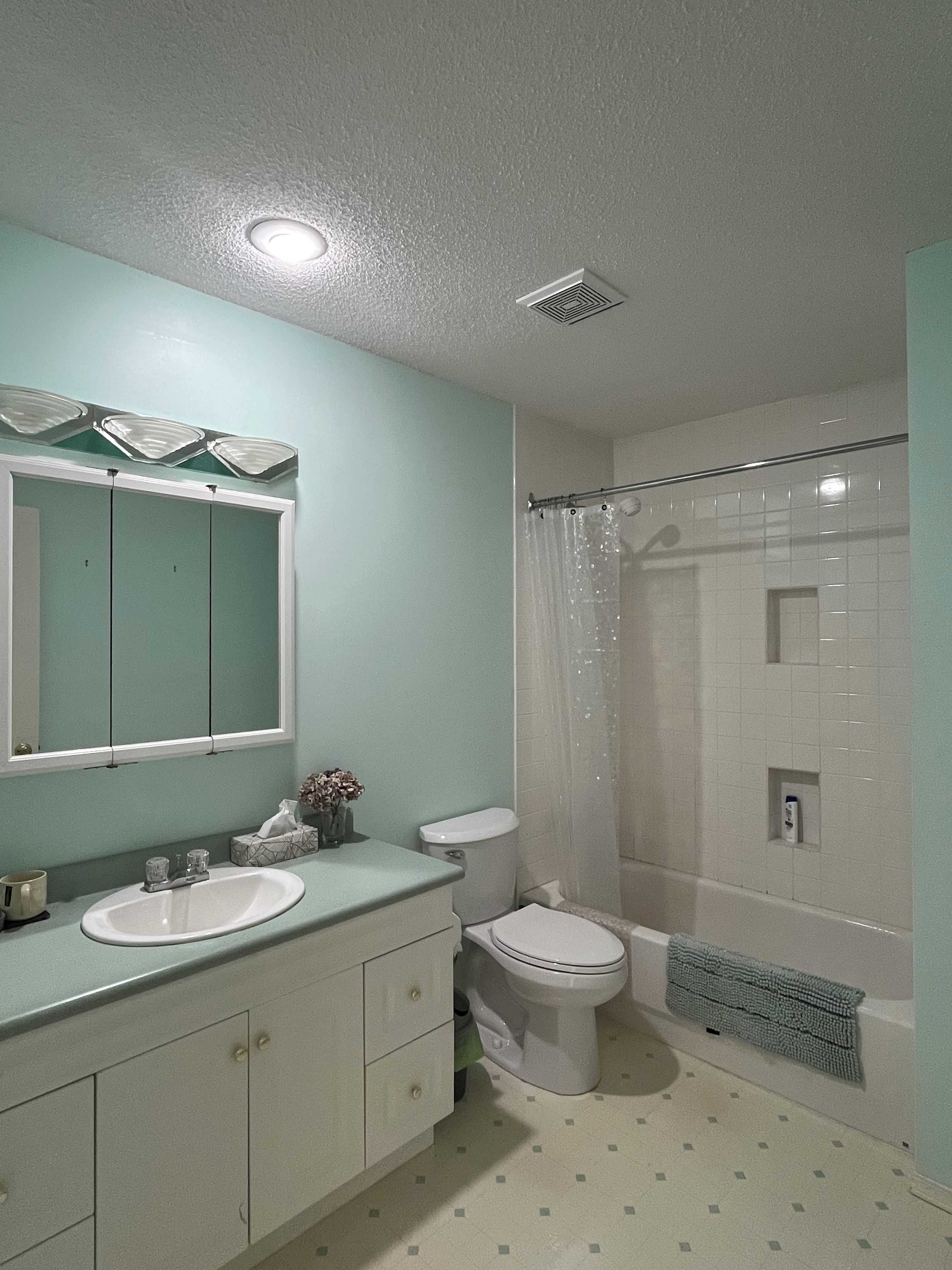 A bathroom with a sink, mirror, toilet, and shower area.
