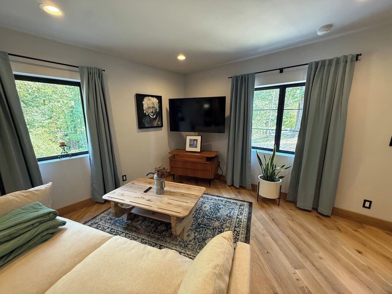 A modern living room with a sofa, coffee table, and a flat-screen TV. There are windows with curtains, a plant, and a picture frame on the wall.
