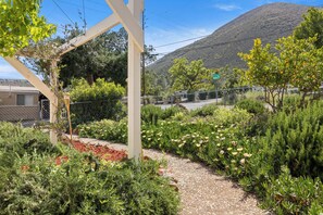 Un jardin avec un chemin de gravier, différentes plantes et une montagne en arrière-plan.