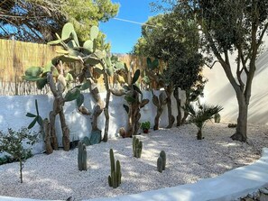 A garden with various cacti and a tree, surrounded by a white wall and a bamboo fence. - Villa with Outdoor Kitchen and Coastal Garden (Favignana)