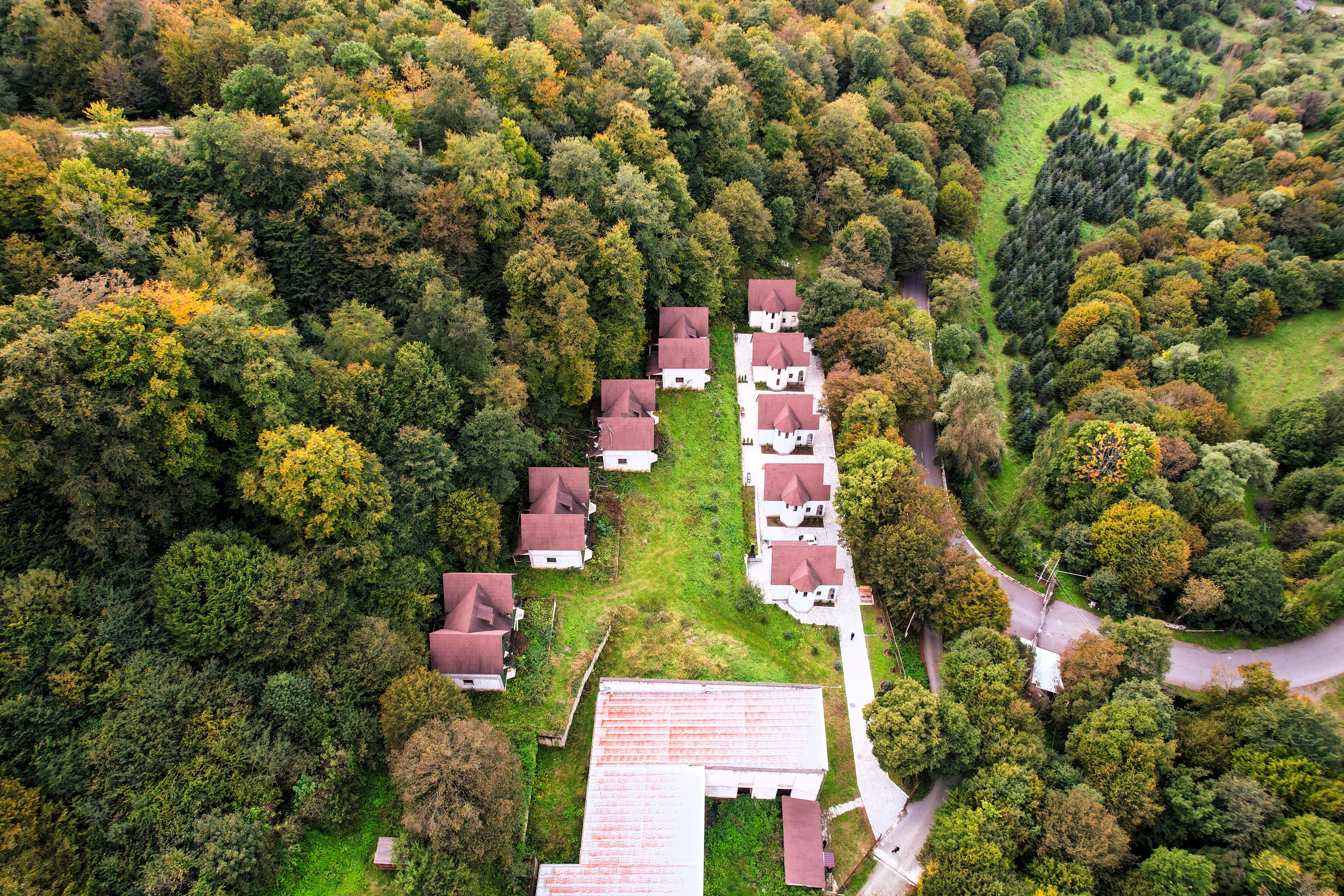 Vista aérea de una zona residencial con varias casas, una calle central y abundante vegetación.