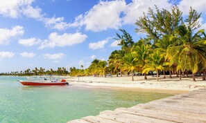 A beach with a wooden walkway, palm trees, and a boat. - Beautiful  2-Bedroom Apartment with New Appliances & AC in Costambar beach (Costambar)