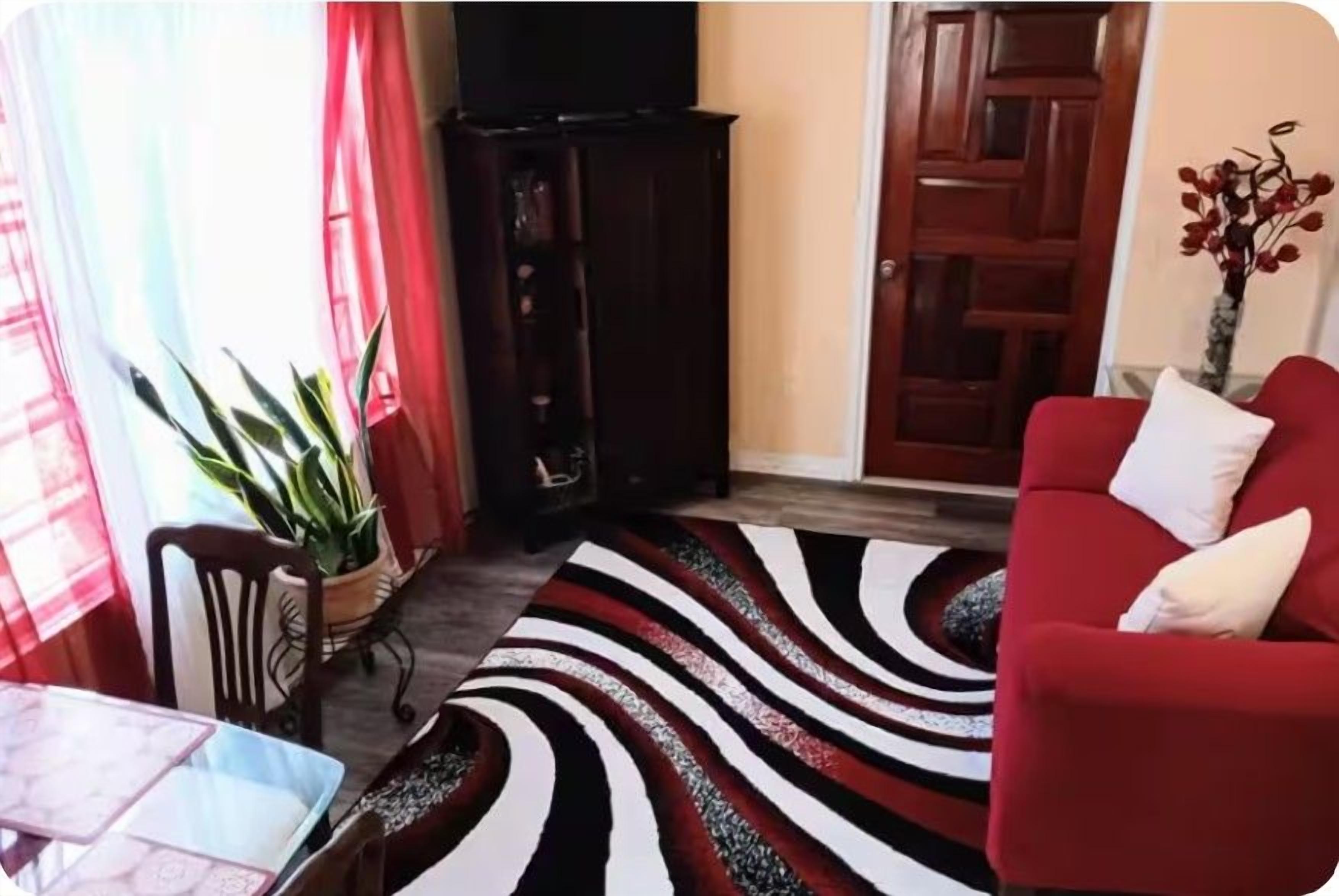 A living room with a red sofa, a patterned rug, a wooden cabinet, and a potted plant.