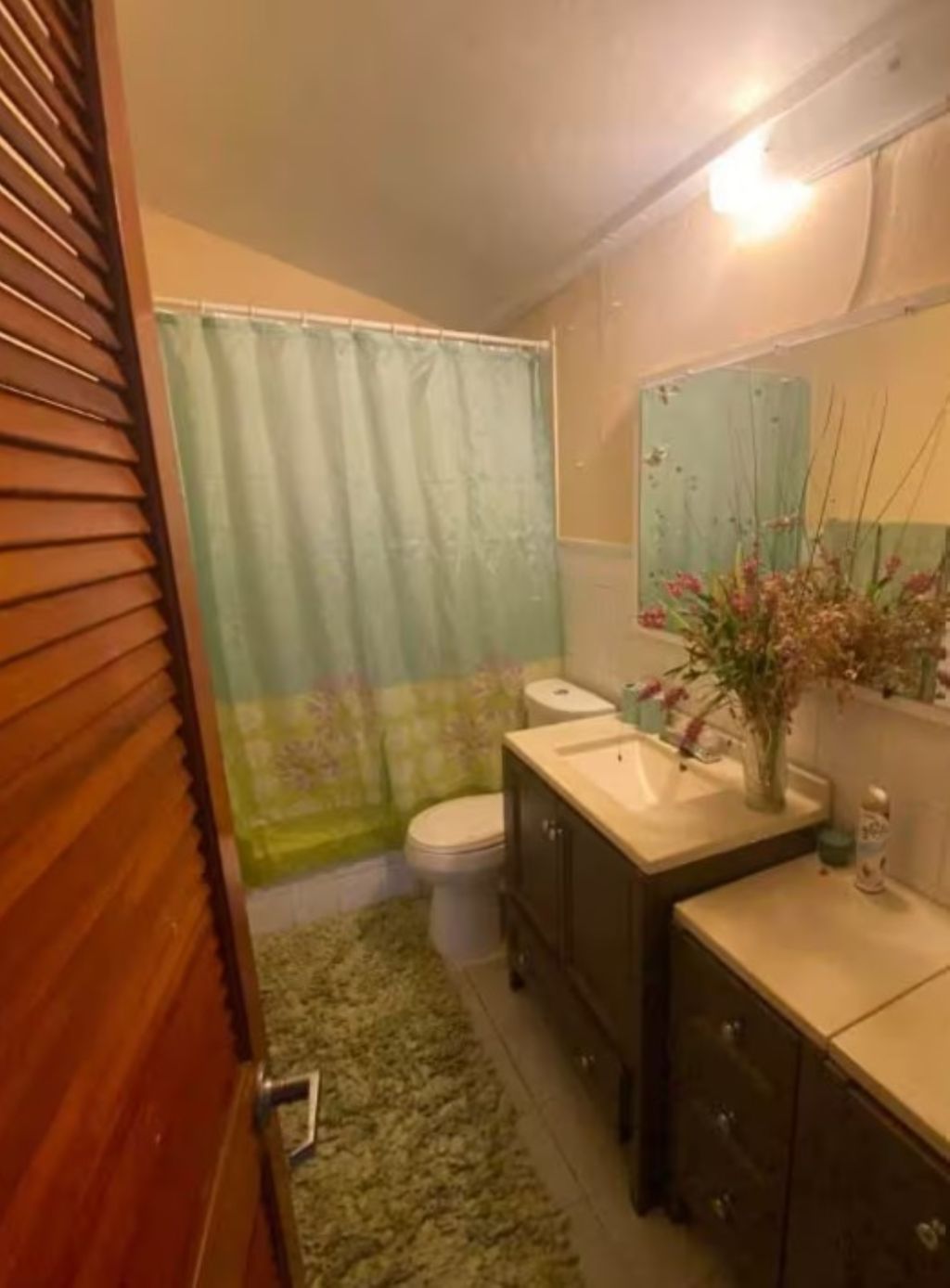 A bathroom with a toilet, sink, and shower curtain.