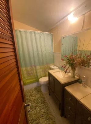 A bathroom with a toilet, sink, and shower curtain. - Mahogany Getaway Herbal Healing U.SV.I. (Christiansted)