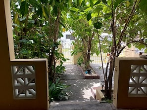 A gated entrance to a courtyard with a pathway leading to a building.