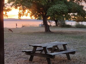 Una mesa de picnic en un área con césped, con un árbol y una masa de agua al fondo.