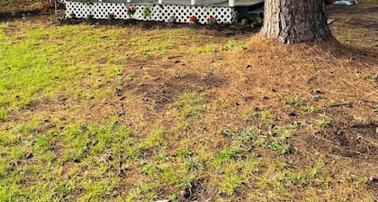 Charming 1-bedroom cottage in Ruston located perfectly for your convenience
