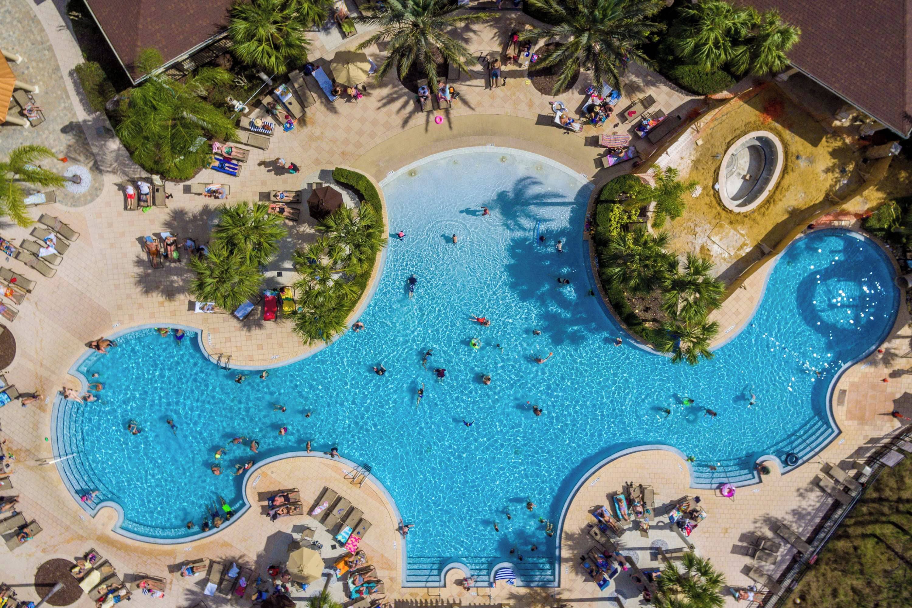 A large outdoor swimming pool with multiple lanes, surrounded by lounge chairs and palm trees.