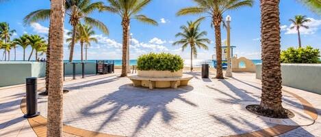 A paved walkway with palm trees, a planter with greenery, and a clear view of the ocean.