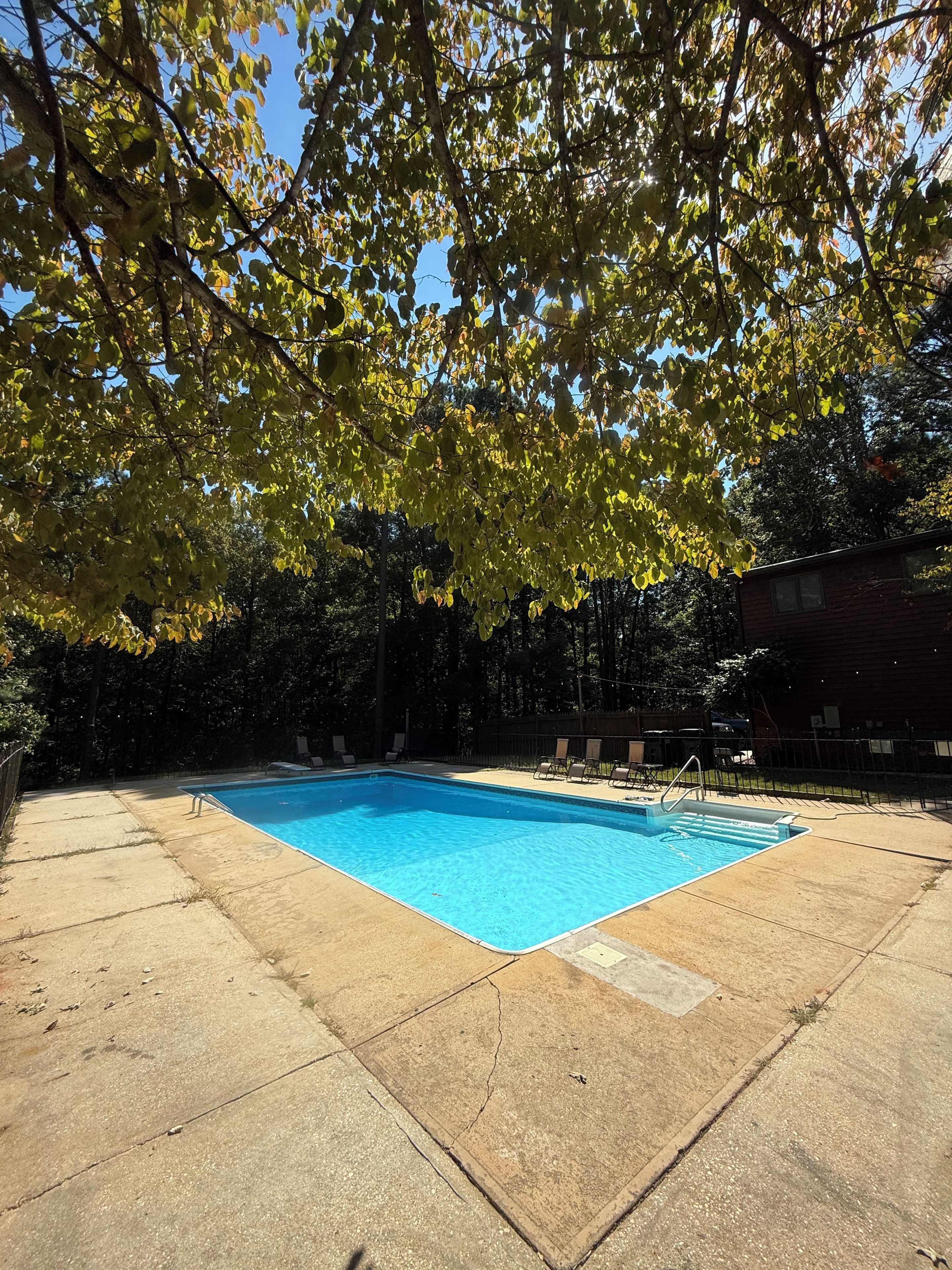Una piscina rectangular con una escalera metálica, rodeada por una solana de concreto, bajo un dosel de árboles.