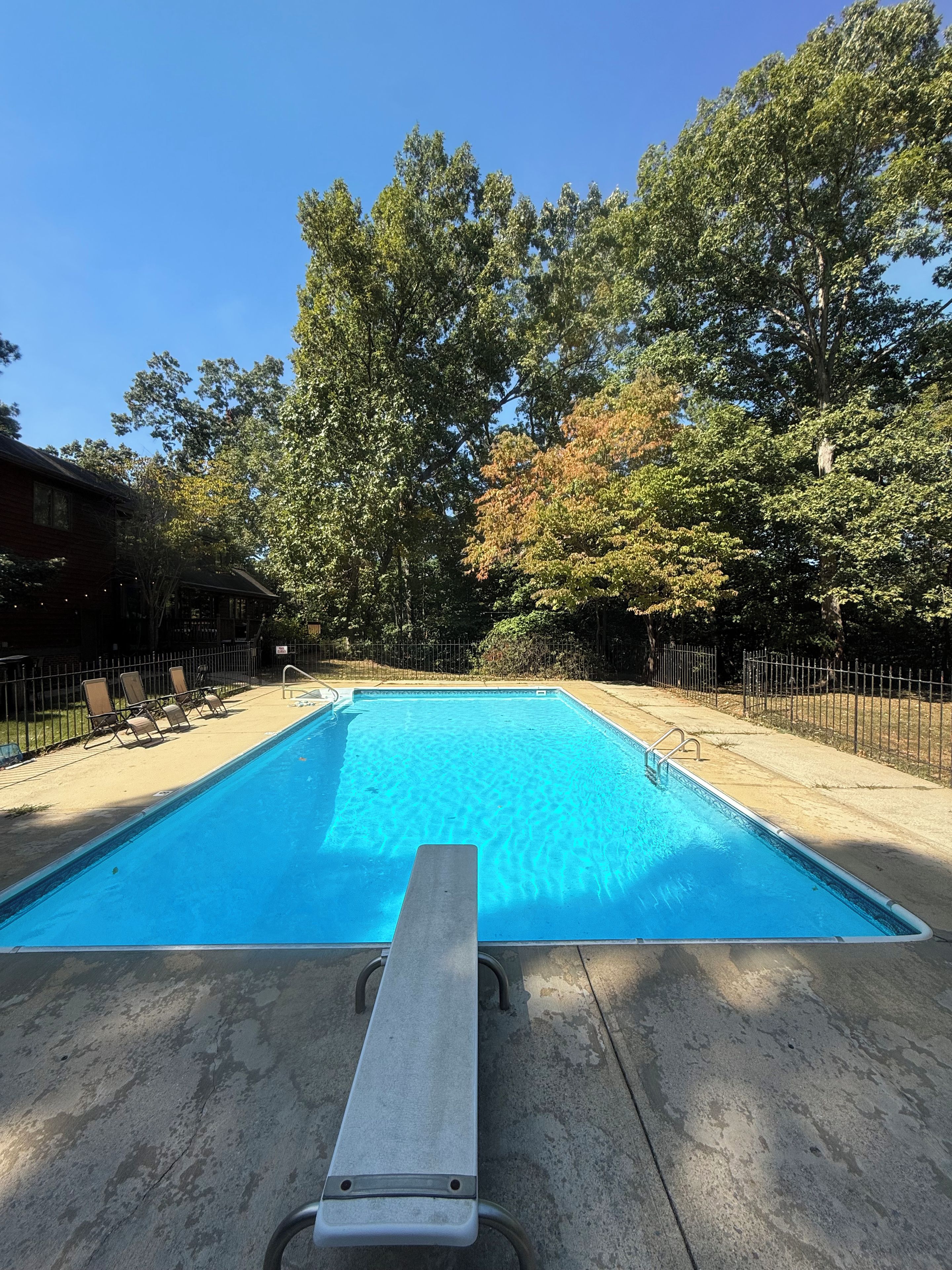 A rectangular swimming pool with a concrete deck in the foreground, surrounded by a metal fence and trees with green and autumnal foliage.